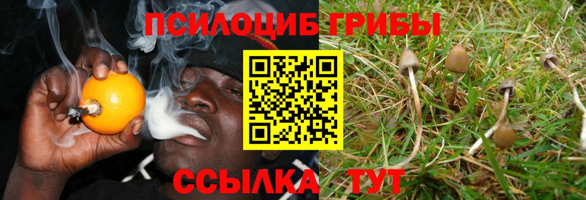 Псилоцибиновые грибы ЛСД Волгоград