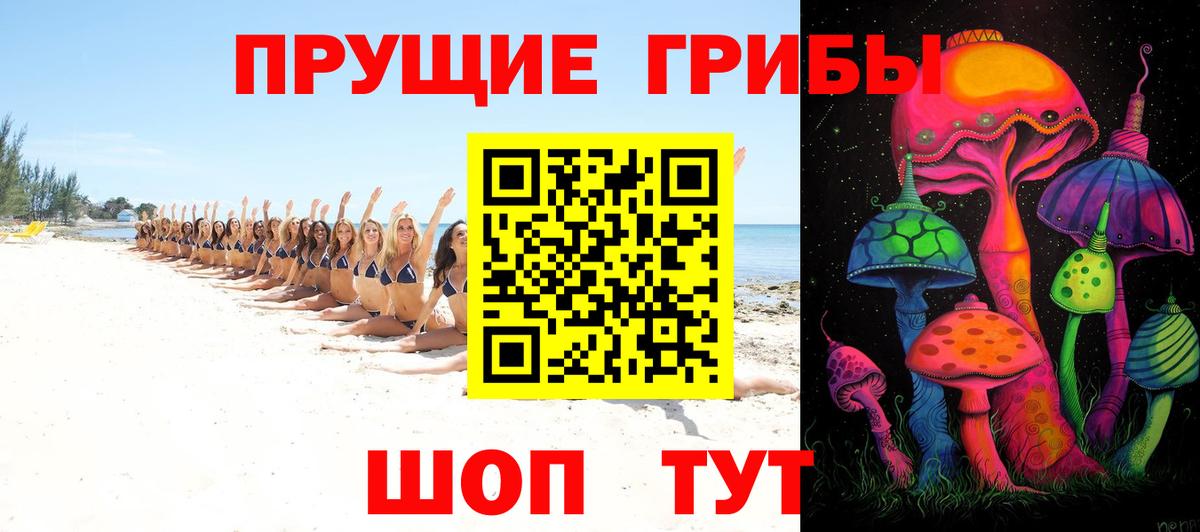 Галлюциногенные грибы прущие грибы  Вход с VPN  Волгоград 